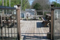 IMG_0009-1